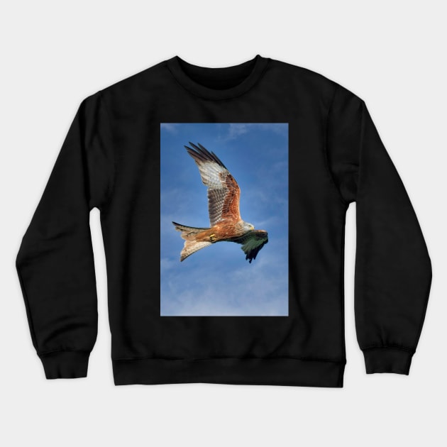 Red Kite Bird of Prey (Milvus Milvus) Crewneck Sweatshirt by MartynUK